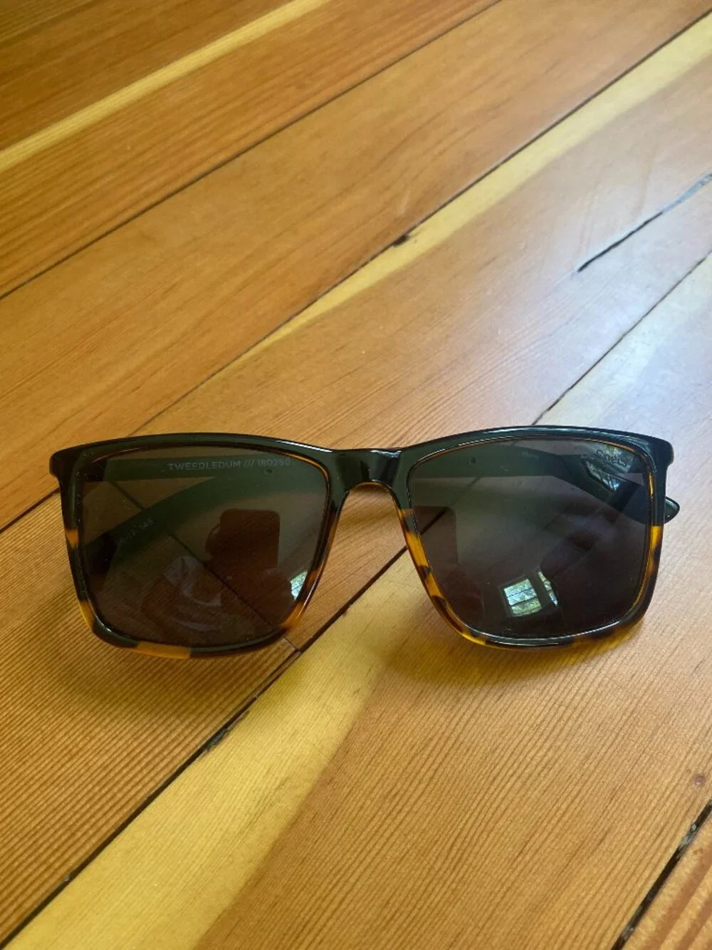 Le Specs le specs